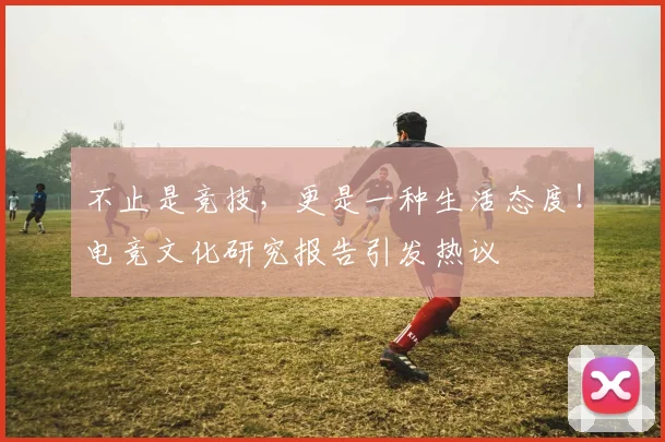 不止是竞技，更是一种生活态度！电竞文化研究报告引发热议
