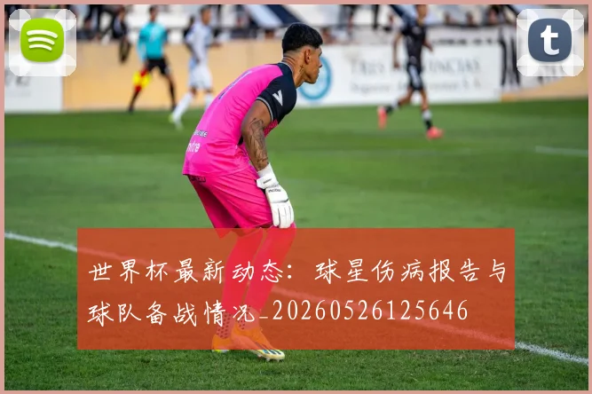 世界杯最新动态：球星伤病报告与球队备战情况_20260526125646